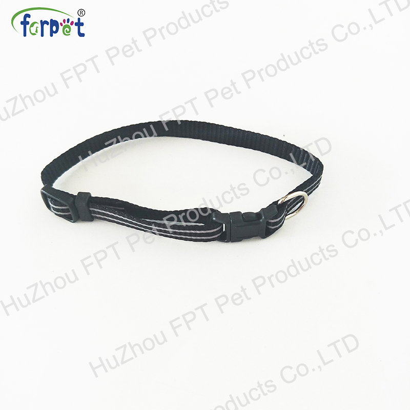 dog collar