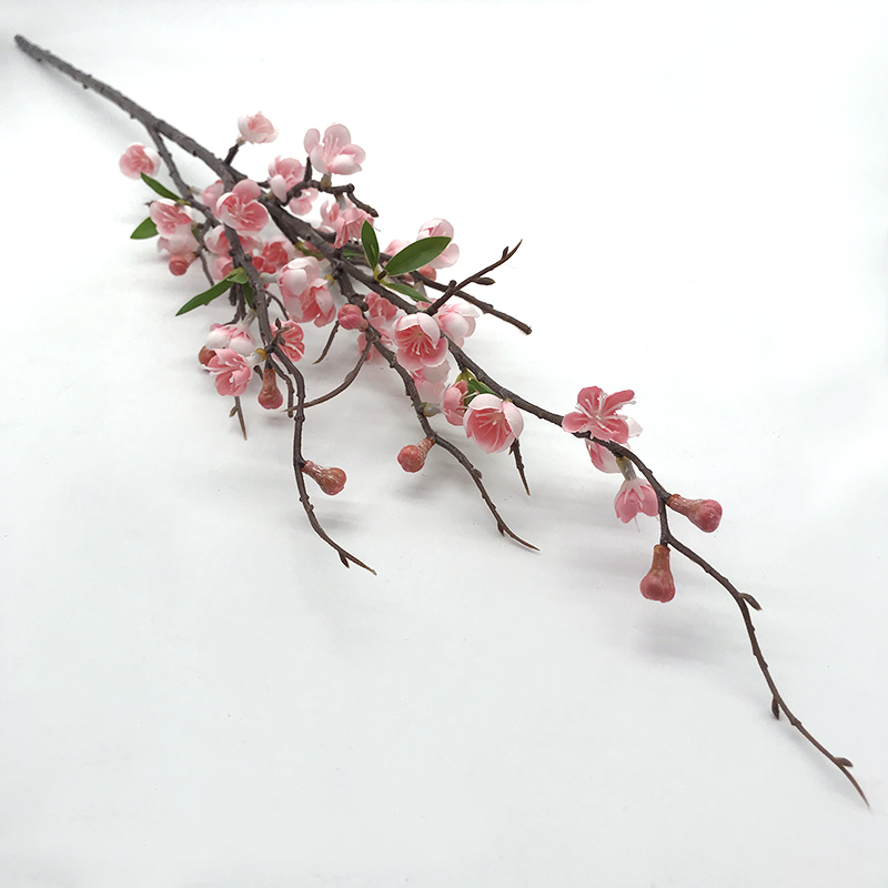 Single Cherry Blossoms