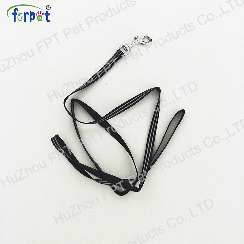 dog lead