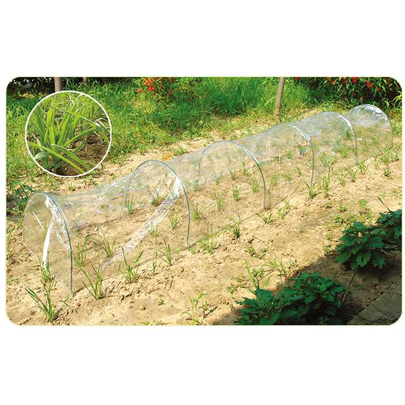 Green House