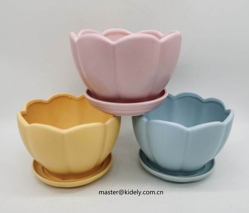 # flower pot, planter, garden pot, ceramic pot, ceramic vase