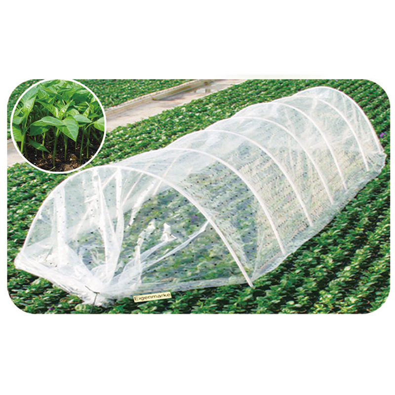 Green House