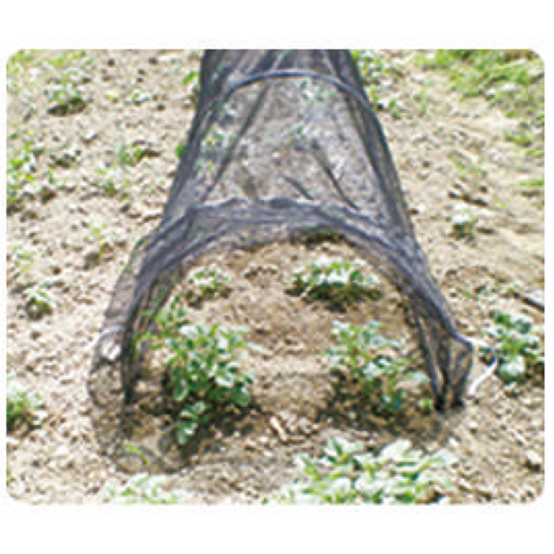 Green House
