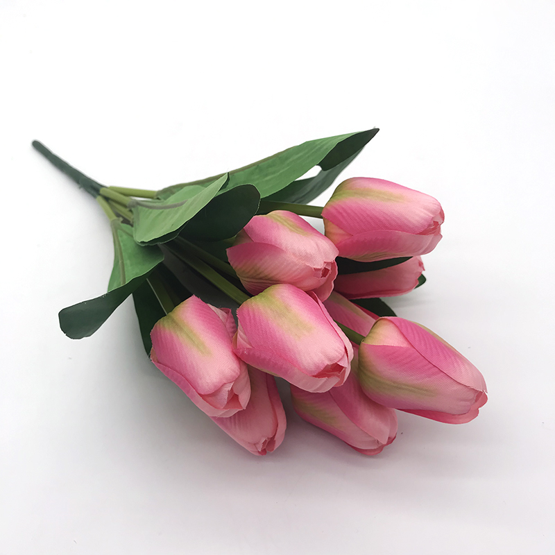 9 branches tulip