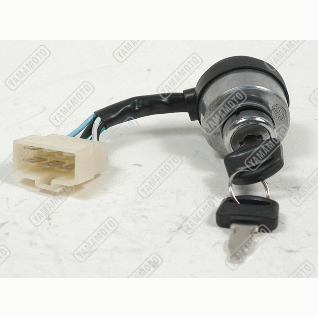 YAMAMOTO_EC2500_Engine Stop Switch_With Key,6 Wires