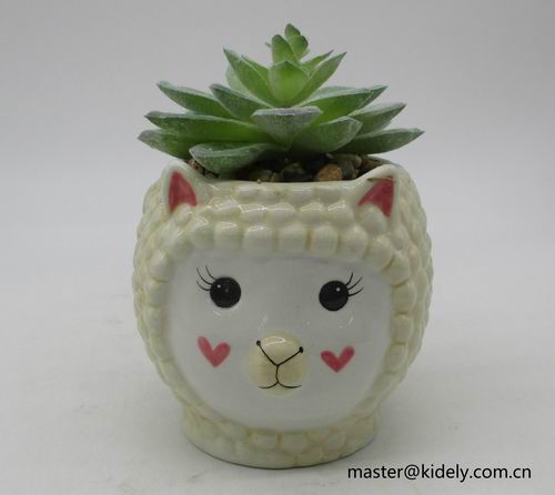 # flower pot, planter, garden pot, ceramic pot, ceramic vase