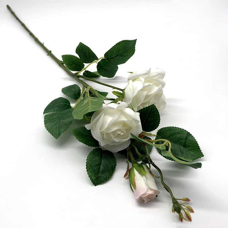Single Rose*3