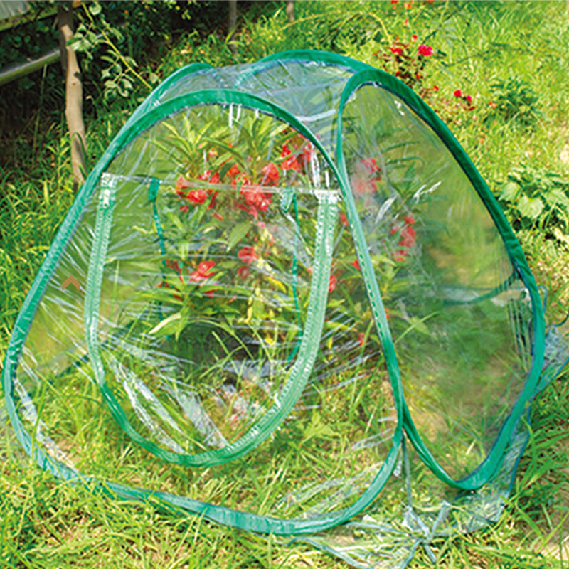 Green House