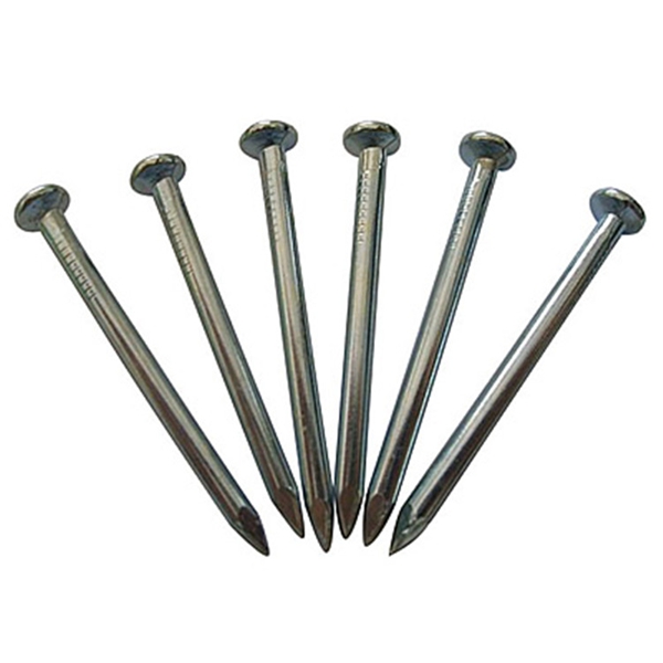Common Nails Polished Common Wire Nail