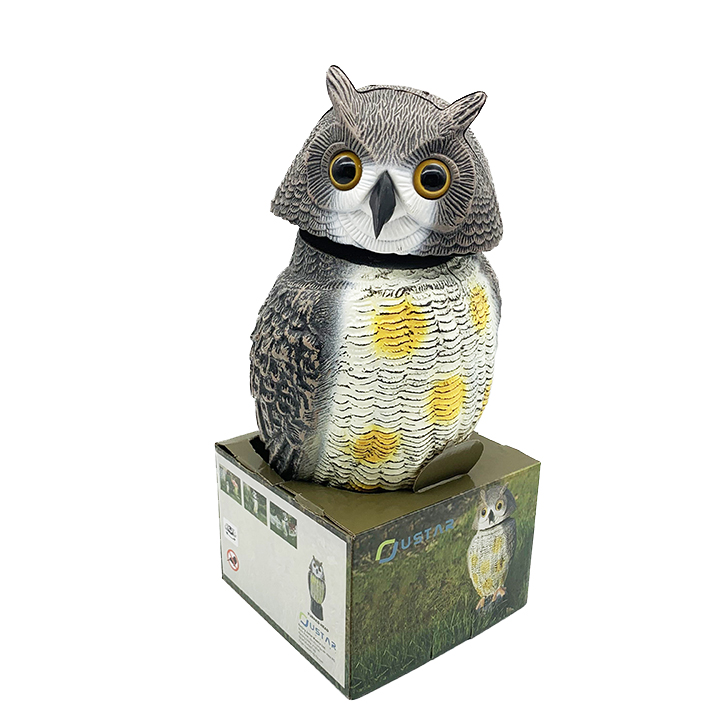 rotating head owl