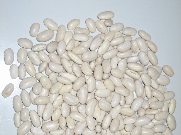 Spanish Kidney Beans