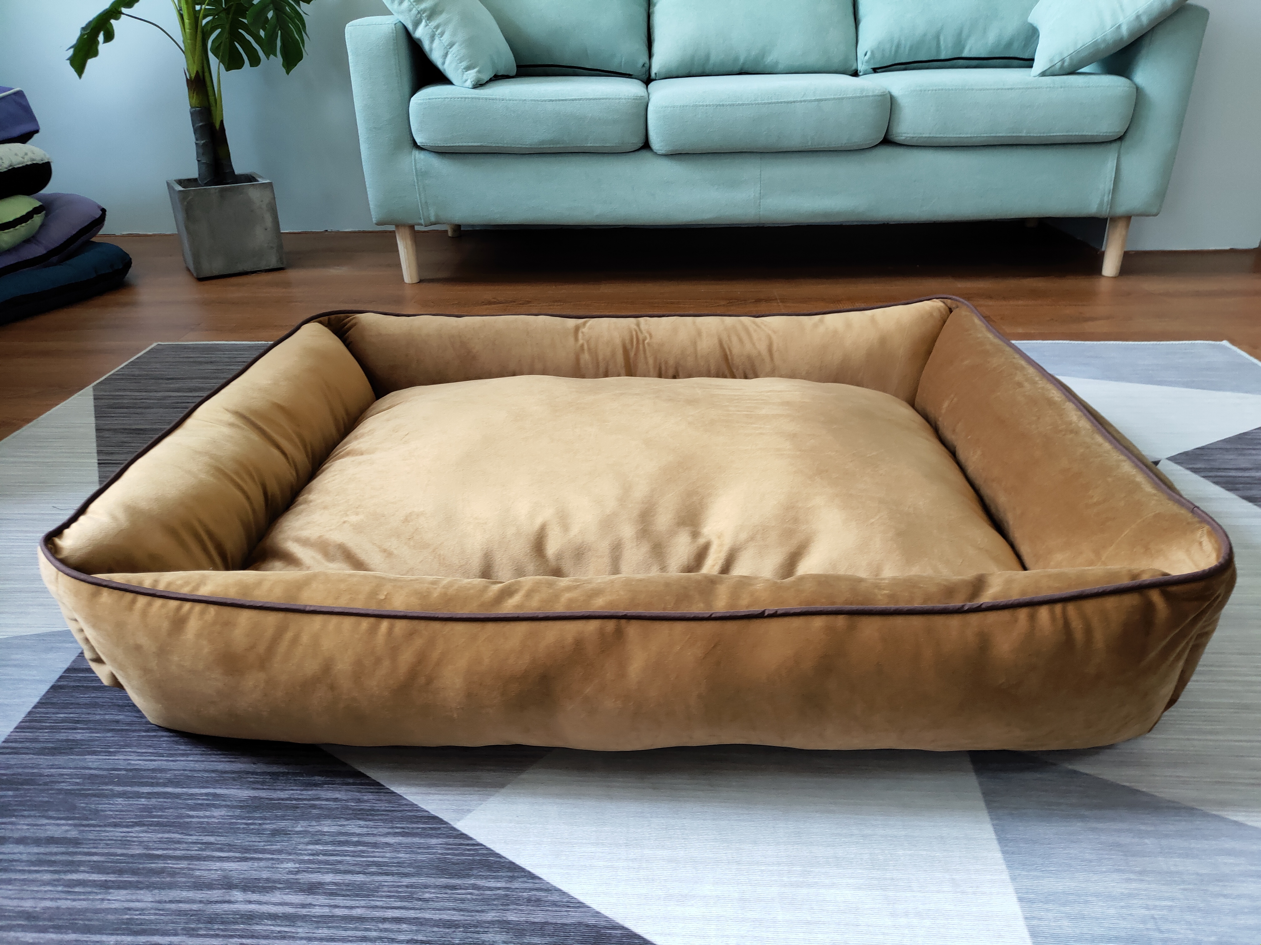velvet dog bed