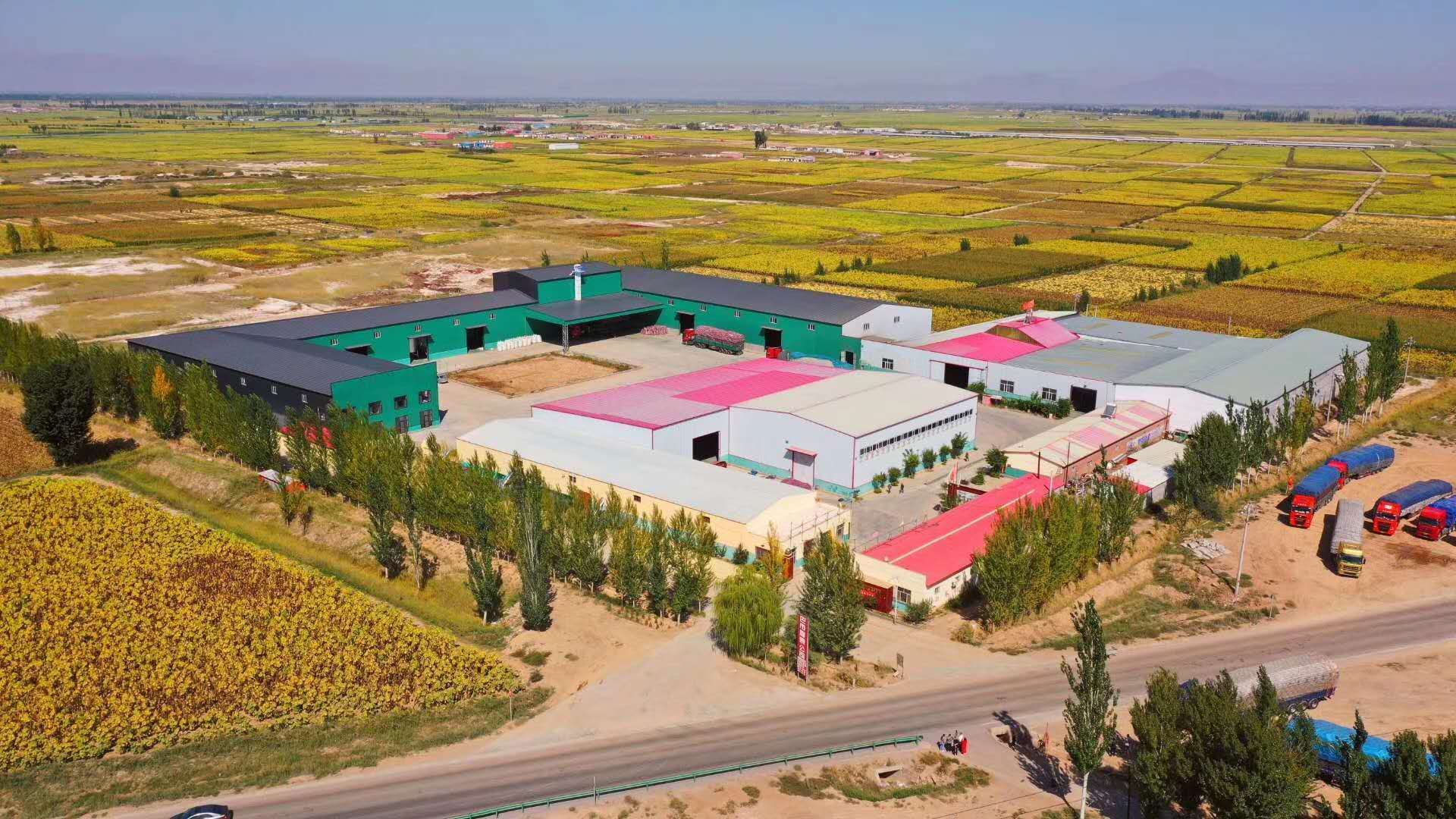 Bayan Nur Chentai Industrial and Trade Co., Ltd. – sunflower seeds 1