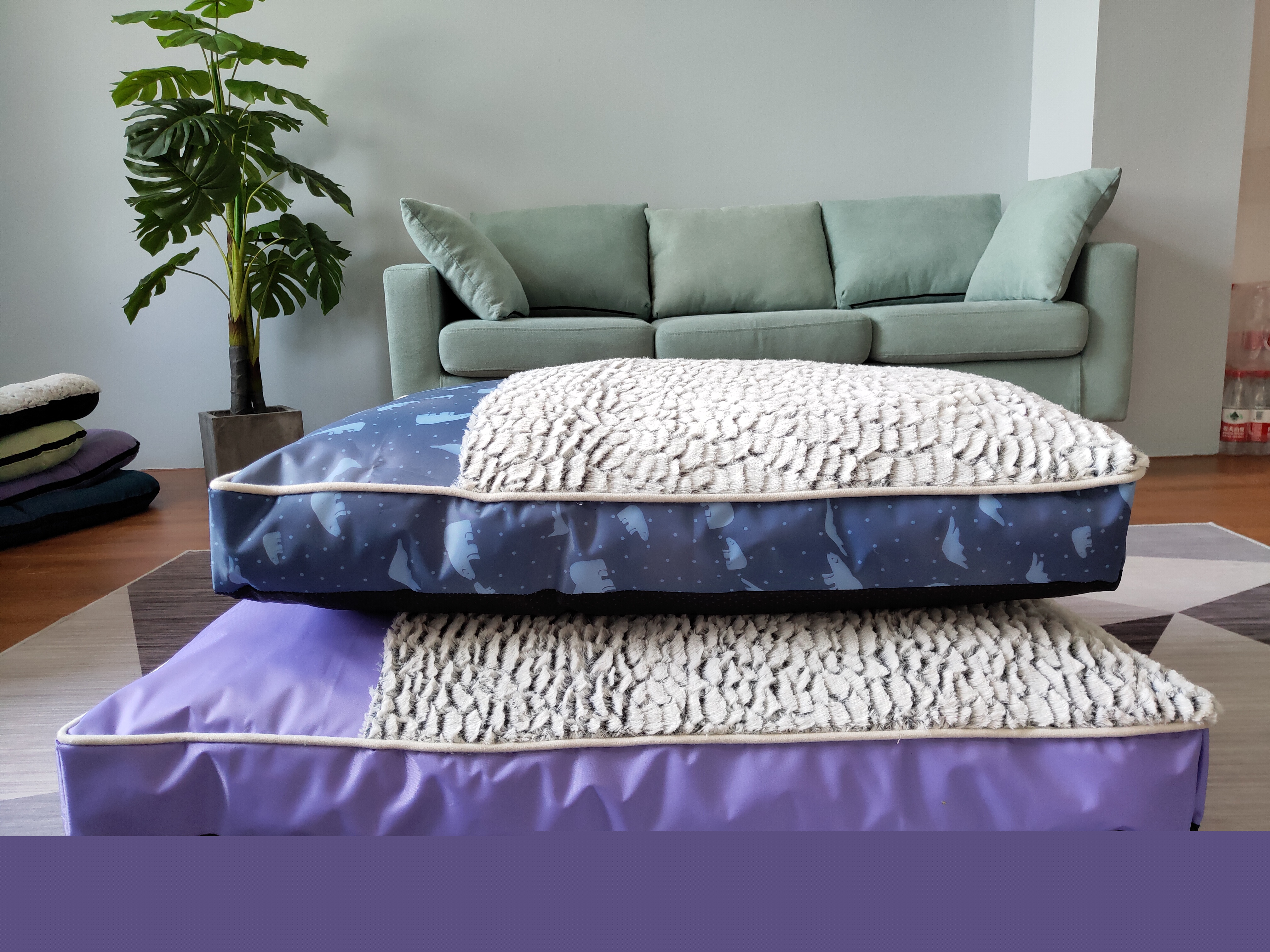 rectangular pet mat