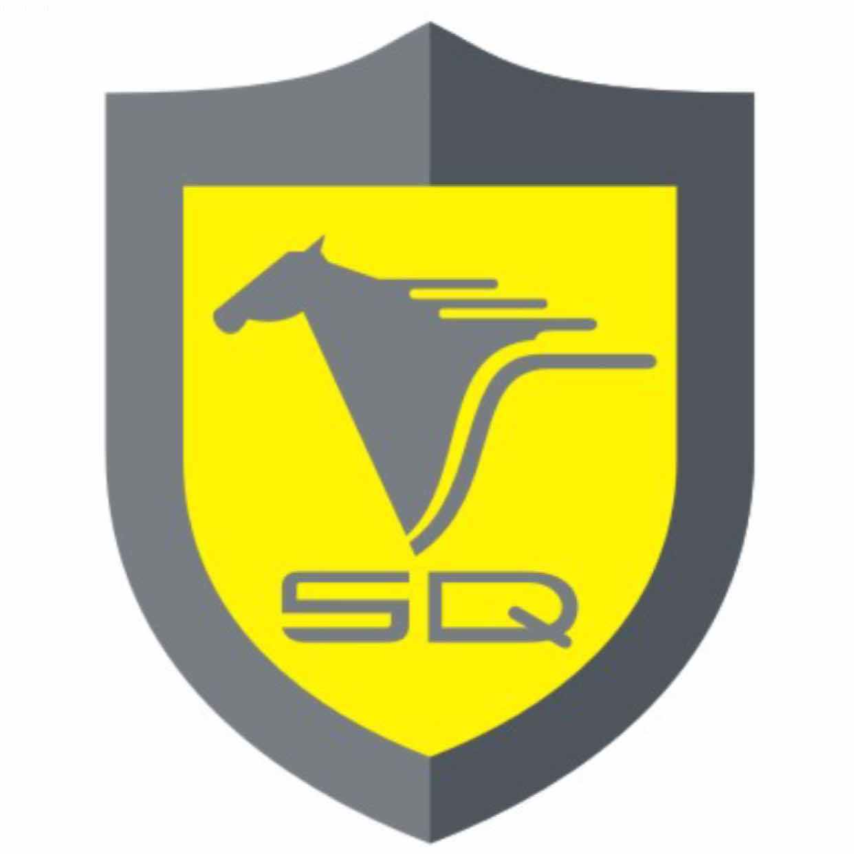 Jiangxi Saichi Technology Co., Ltd. – Other electric vehicles 1