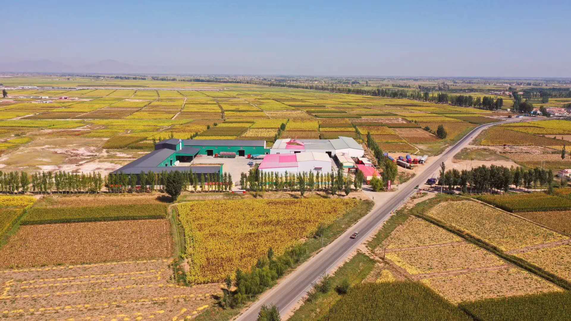 Bayan Nur Chentai Industrial and Trade Co., Ltd. – Photos produits 2