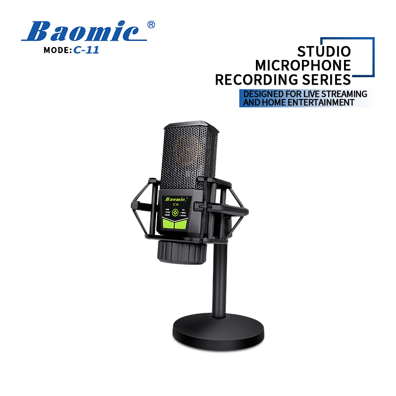Baomic C11 studio microphone recording series