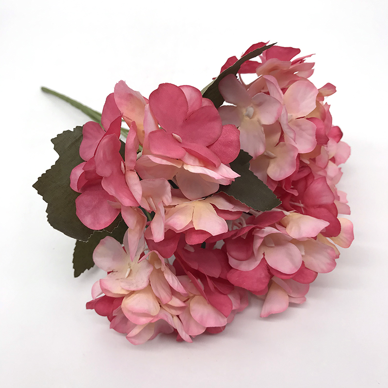 5 branches of hydrangea
