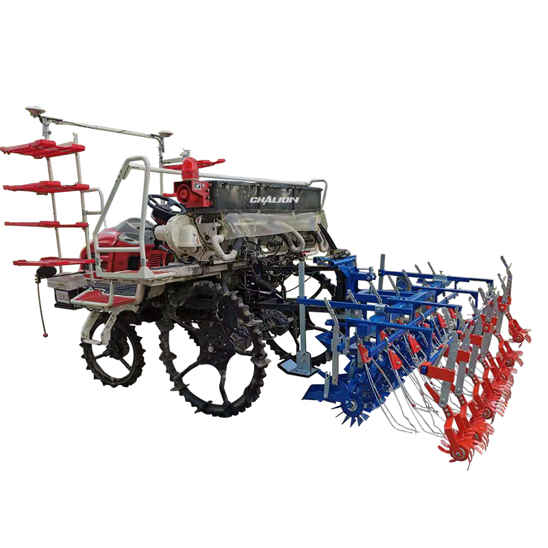 6 rows Paddy rice weeder