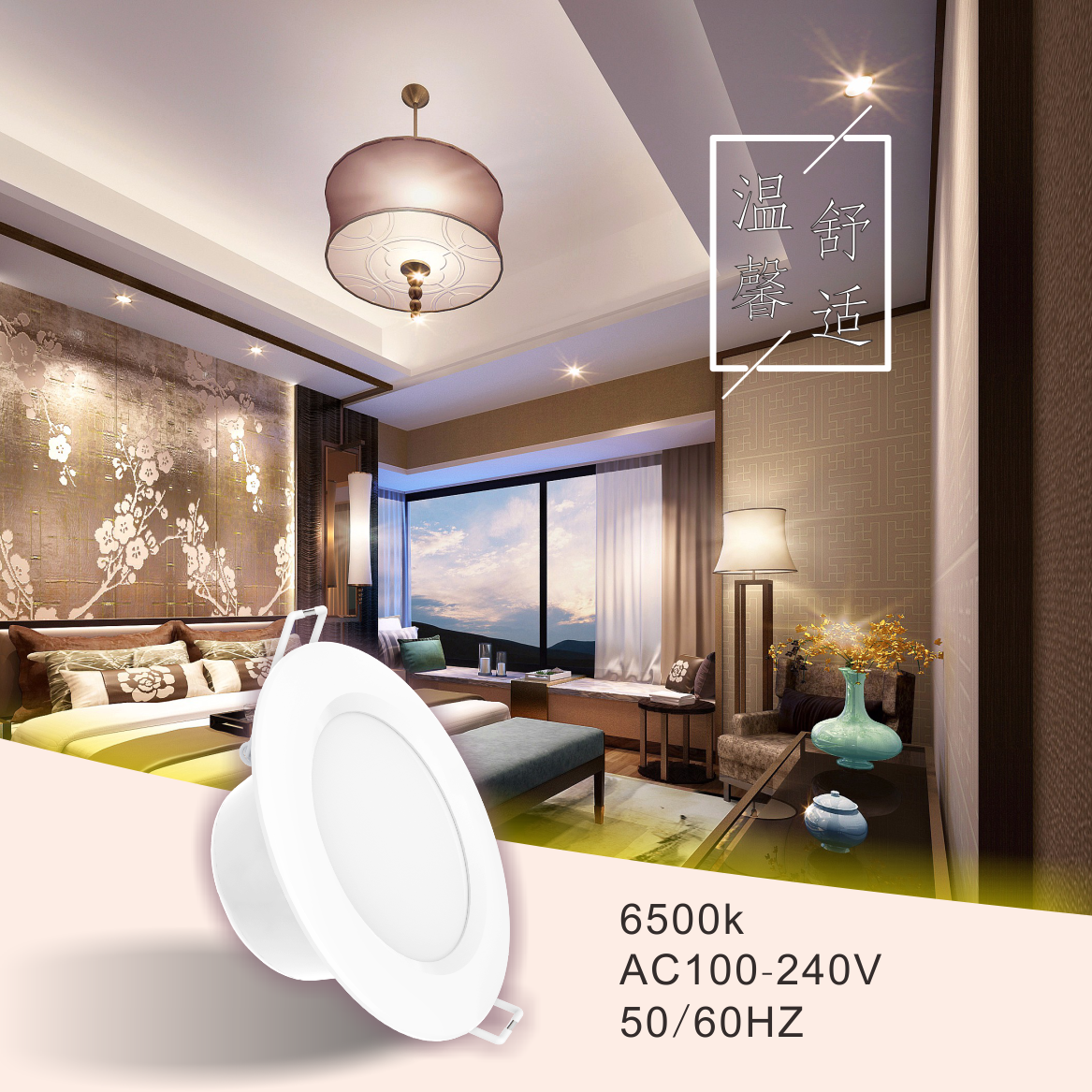 LED Plastic Down Light