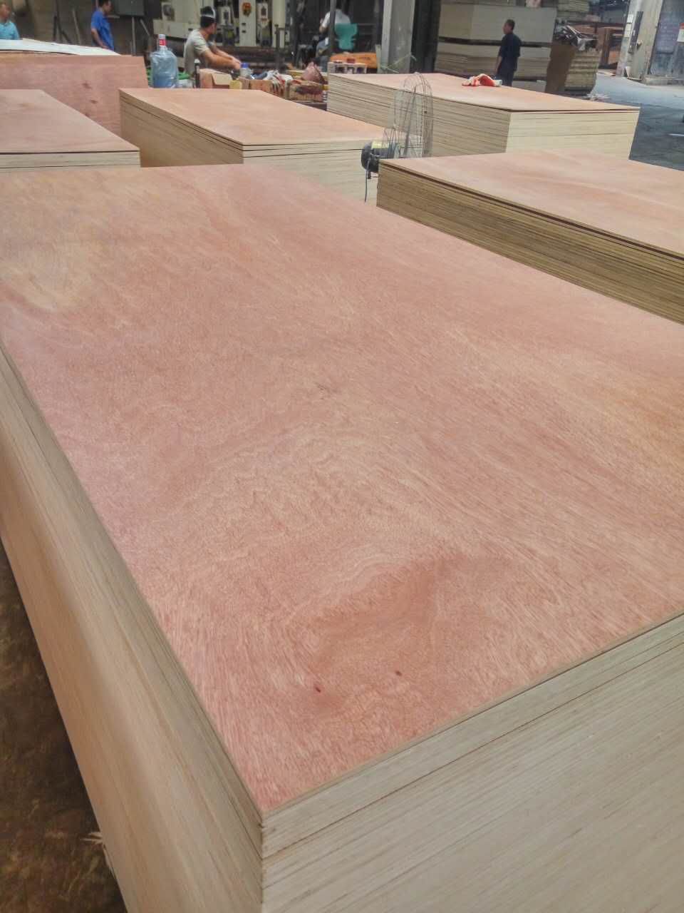 18MM Okoume / Bintangor plywood, HOT plywood, Full poplar plywood