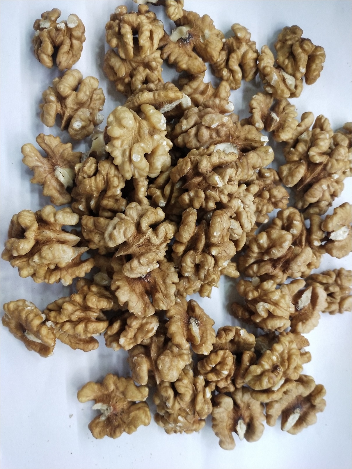 HEBEI SUGUO INTERNATIONAL TRADE CO., LTD – colchoneta de yoga 4