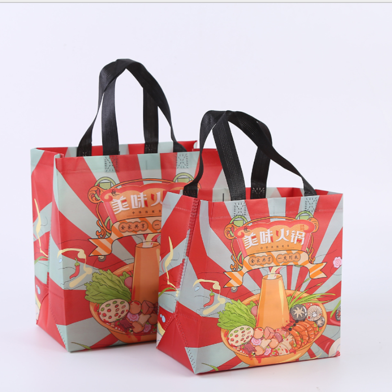 Non woven take out bag