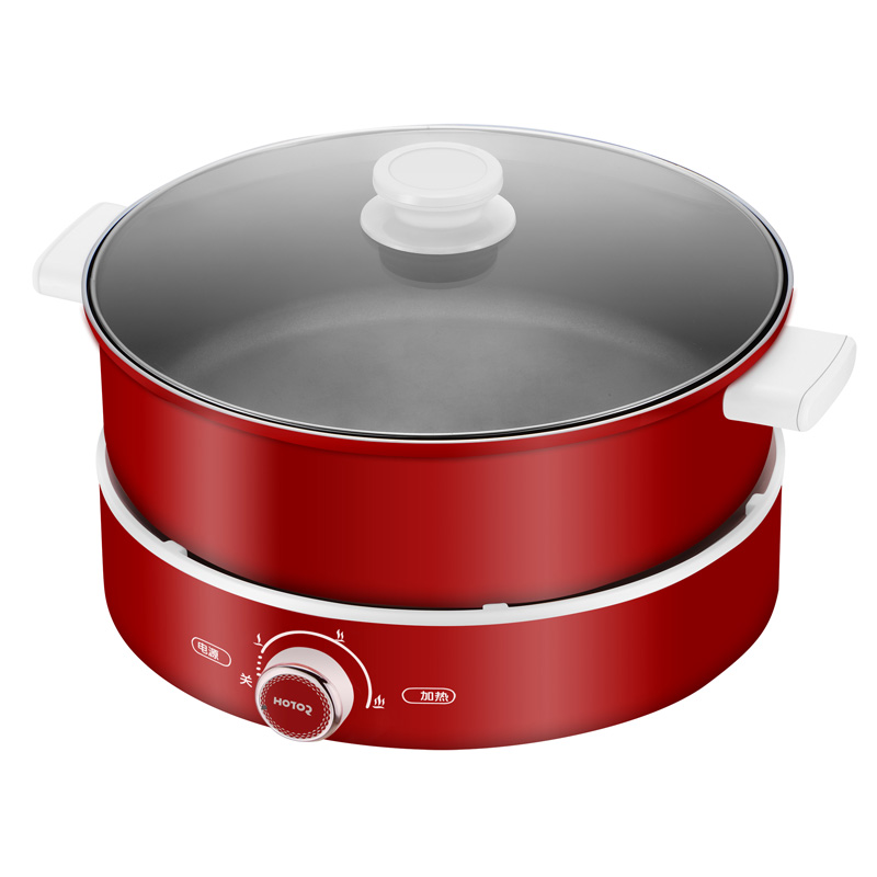 Multi cooker with BBQ pan