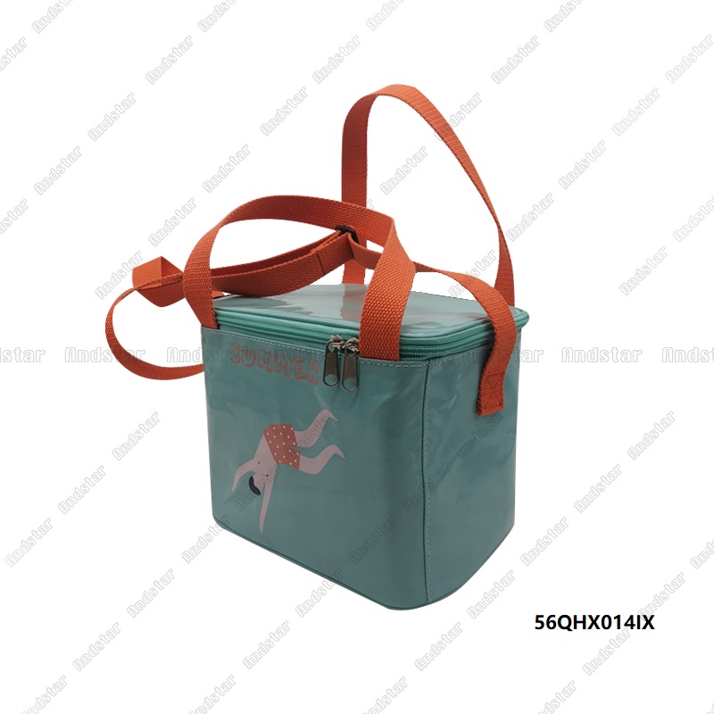 Cooler Bag