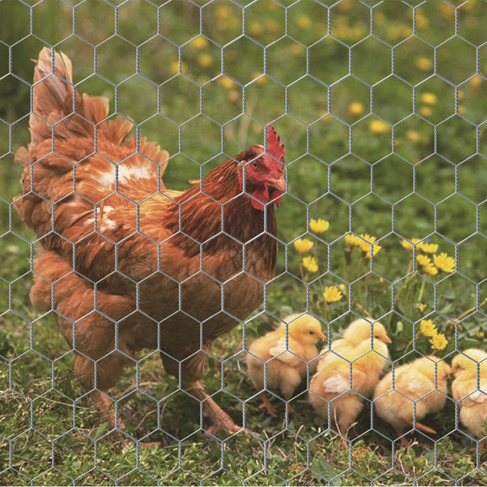 Wire Netting