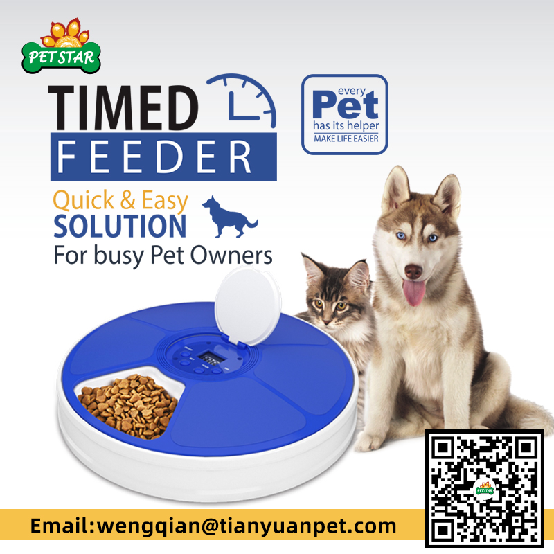 Timed Feeder