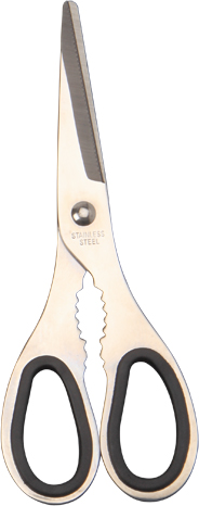 Kitchen scissors；Scissors