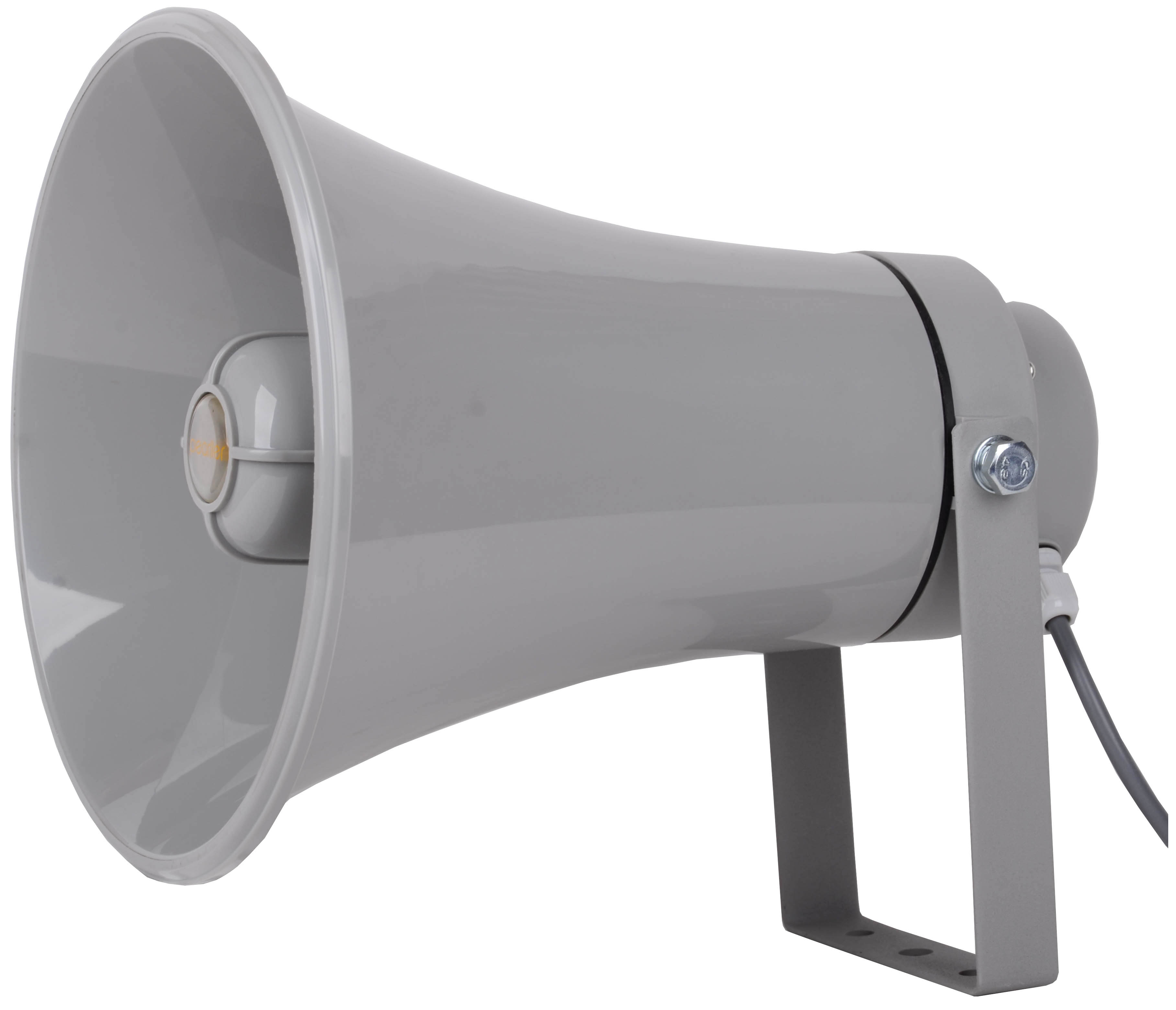 Horn Speaker