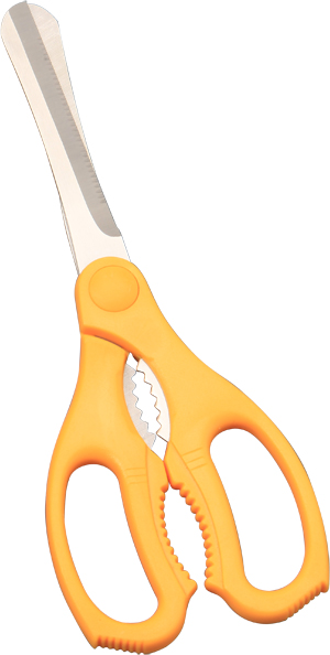 Kitchen scissors；Scissors