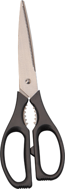 Kitchen scissors；Scissors