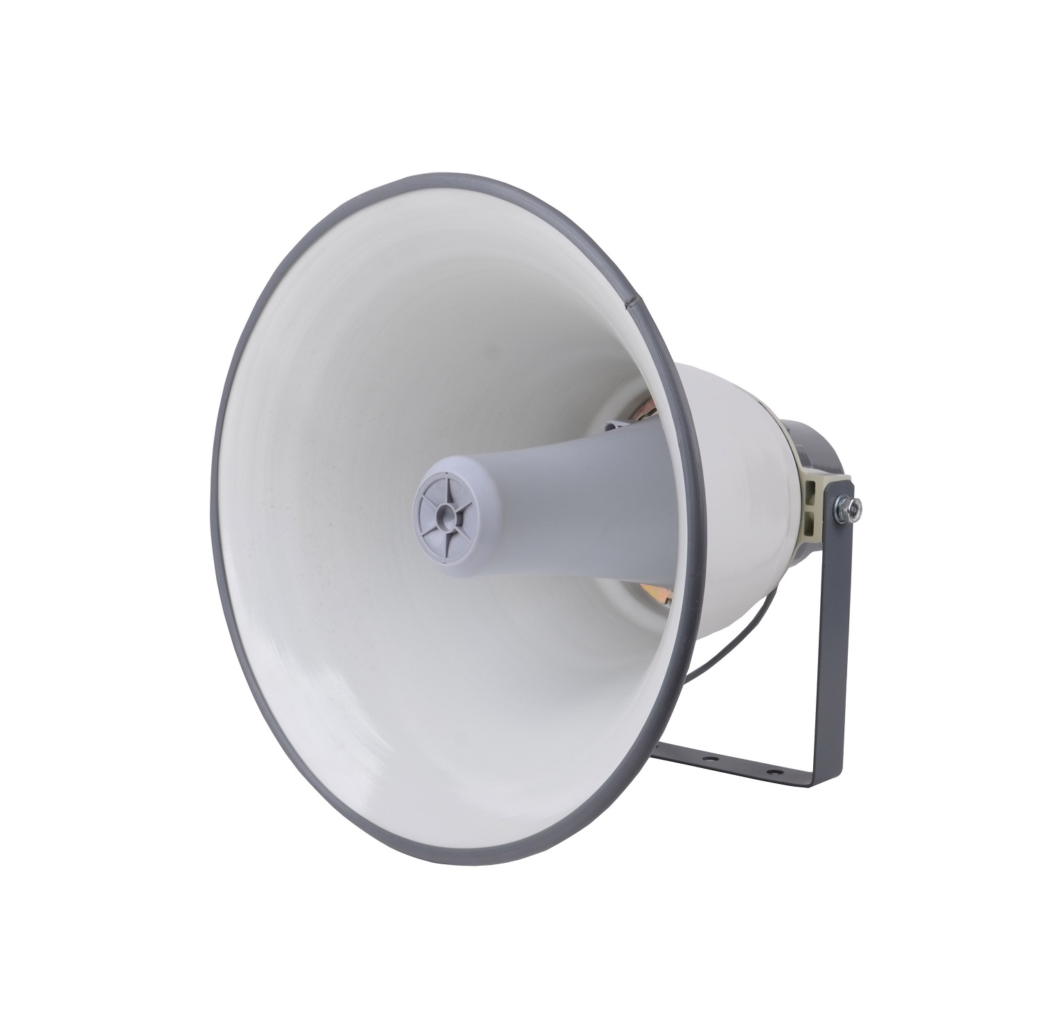 Horn Speaker