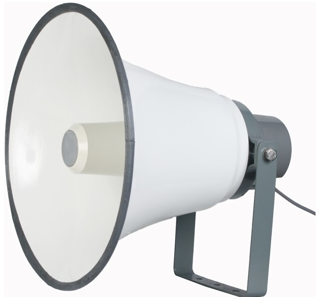 Horn Speaker