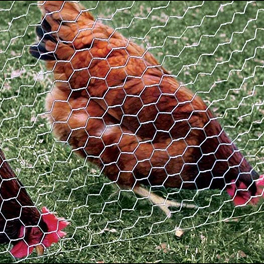 Wire Netting Hexagonal Wire Netting Galvanized Wire Netting