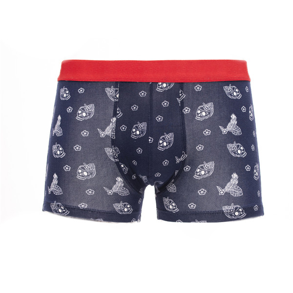 Men's Boxer