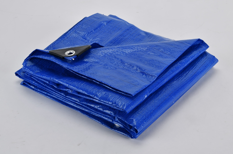 TARP