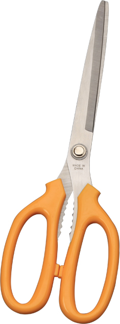 Kitchen scissors；Scissors