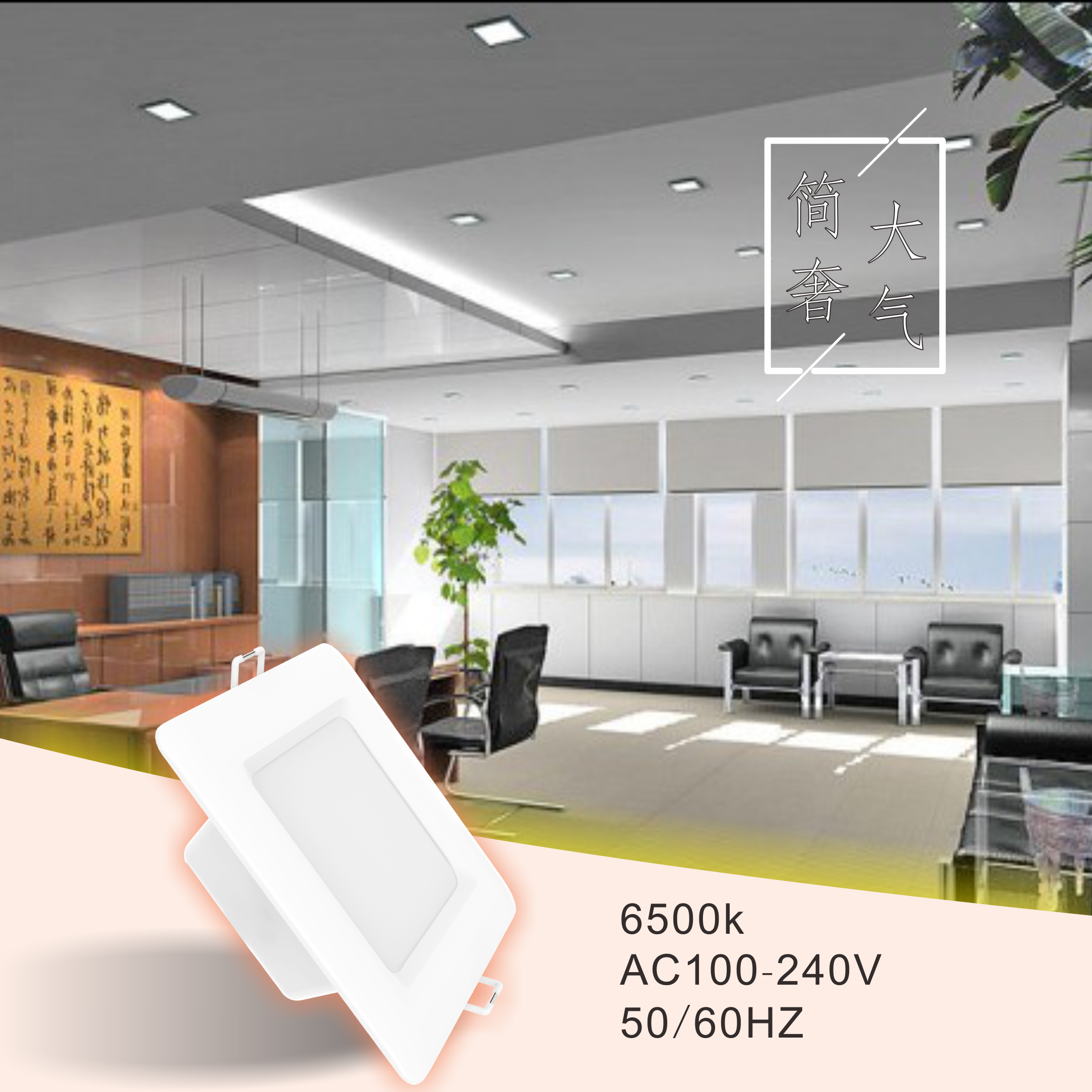 LED Plastic Down Light