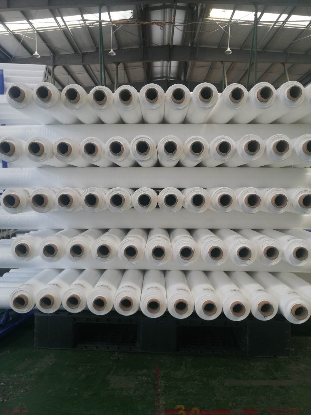 Tarp Roll