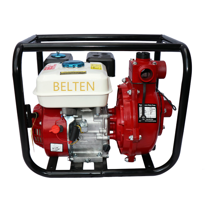 Gasoline high pressure water pump