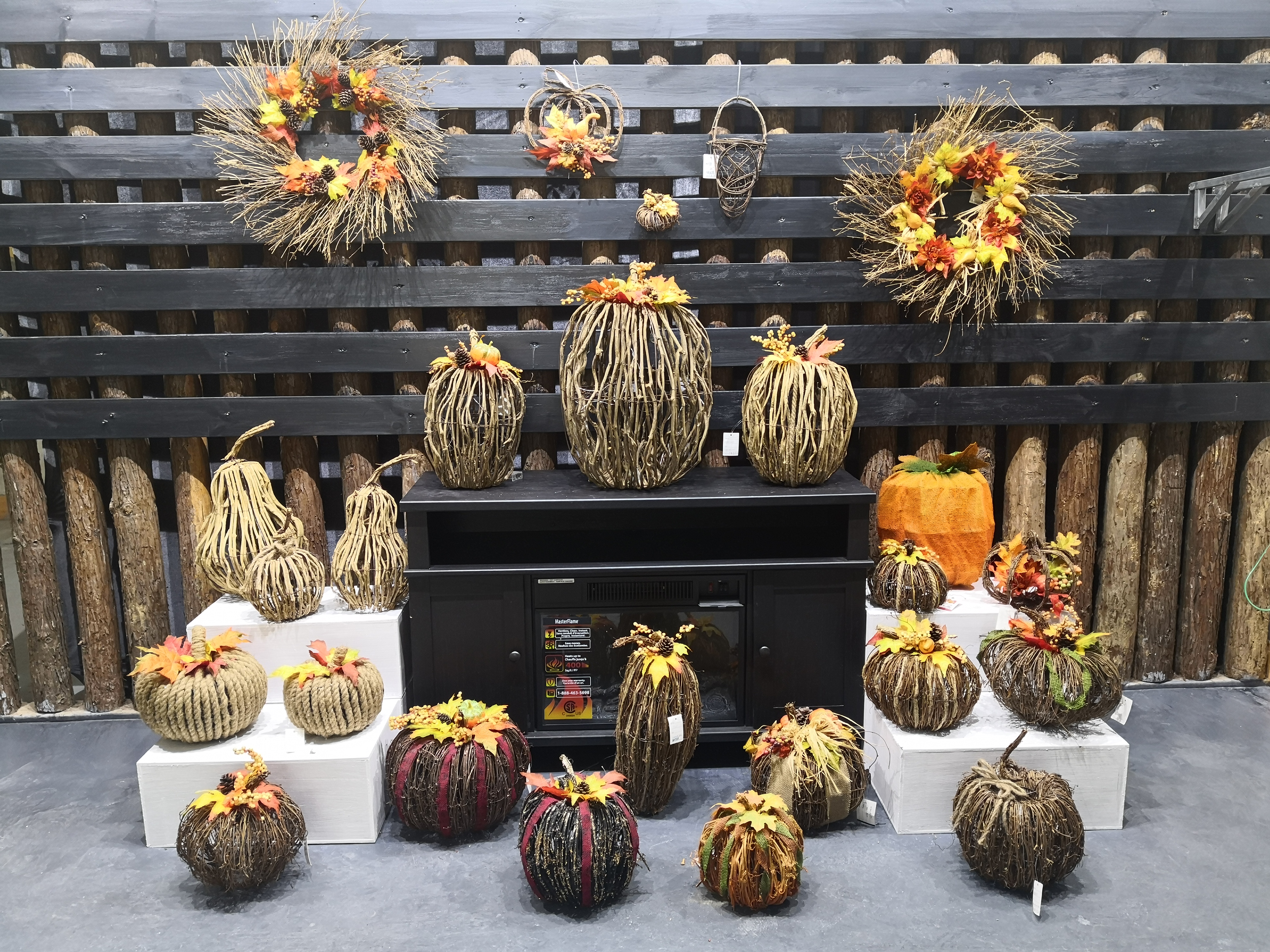 Pumpkin Series 15