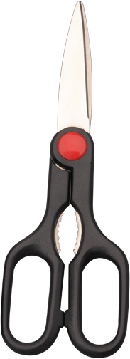 Kitchen scissors；Scissors
