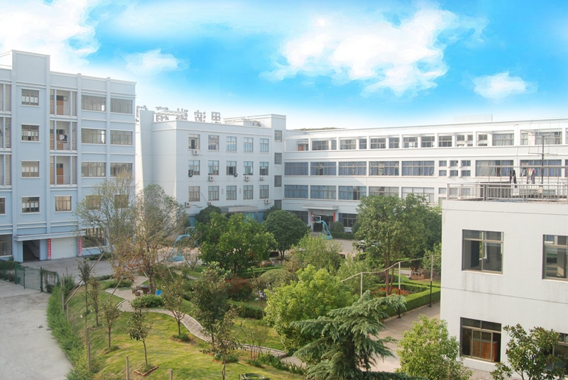 Dongyang Fongye Import and Export Co., Ltd. – school bag 2