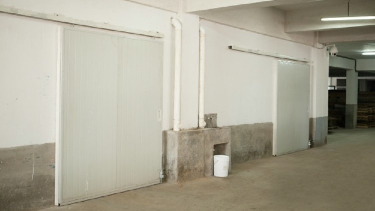 Yingkou Chenguang Aquatic Products Co., Ltd. – Product photos 3