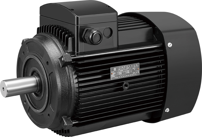 Ye2 Series Cdl Stainless Steel Vertical Multi-Stage Pump Special Motor