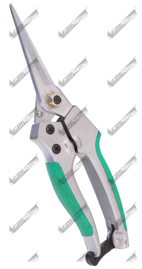 Pruning Shear